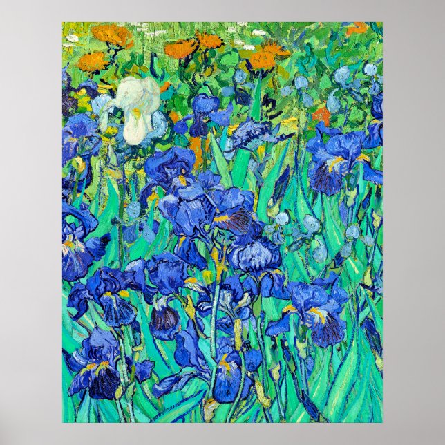 Van Goghs Iris  Poster (Framsidan)