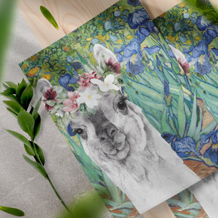 Van Goghs Irisar och Fancy Llama Scrapbookpapper