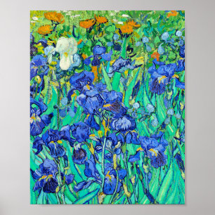 Van Goghs Irisar Poster