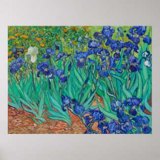 Van Goghs Irisar Poster