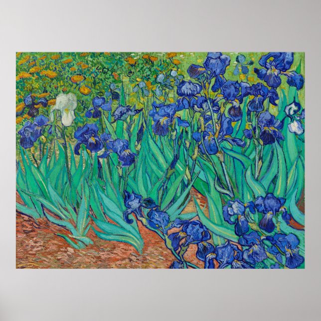 Van Goghs Irisar Poster (Framsidan)