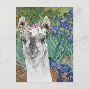 Van Gogh's Irises och Finare Llama Vykort