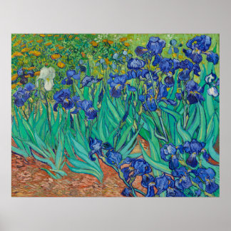 Van Gogh's Irises Poster