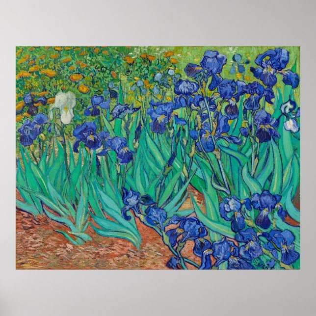 Van Gogh's Irises Poster (Framsidan)