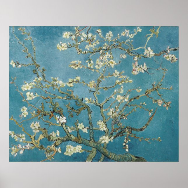 Van Goghs mandelblomster-affisch Poster (Framsidan)