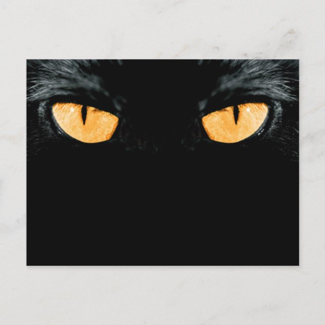 vän vykort (Framsida)