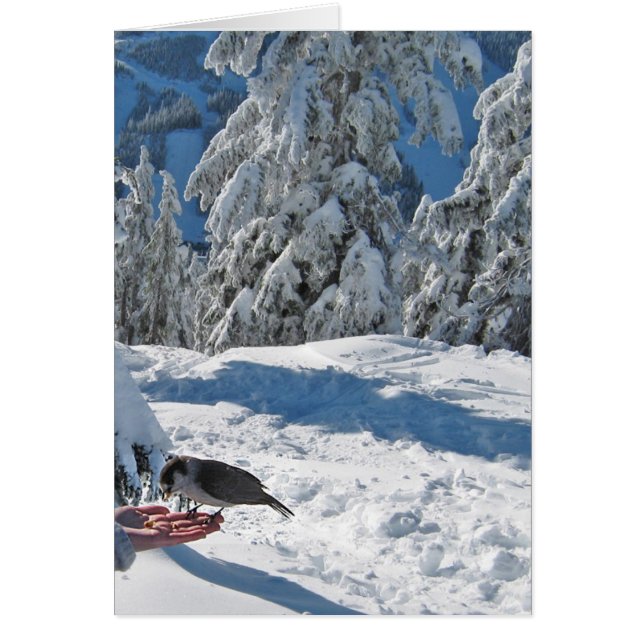 Vancouver BC, Kanada kort (Framsidan)