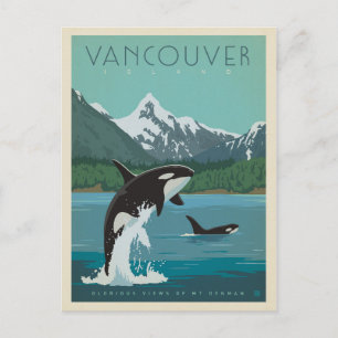 Vancouver Island Killer Whales Vykort