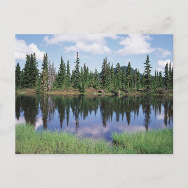 Vancouver Island, Strathcona Provinspark 2 Vykort (Framsida)