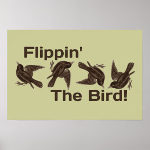 Vänd fågeln poster