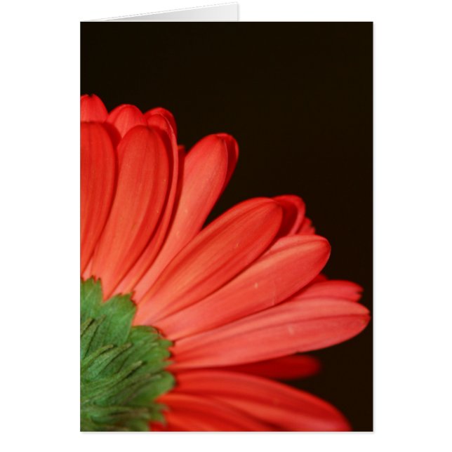 Vänd inte ryggen på mig hälsningskort (Framsidan)