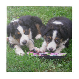 Vänd Roligten! Kakelplatta