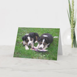 Vänd Roligten! Kort