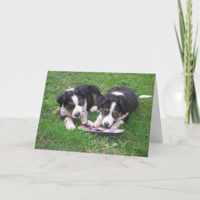 Vänd Roligten! Kort (Framsida)