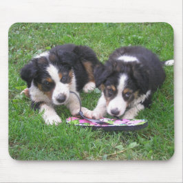 Vänd Roligten! Musmatta