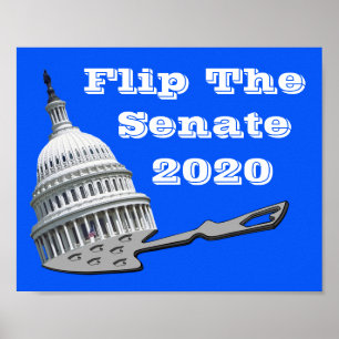 Vänd senatens röst Blå 2020 Poster