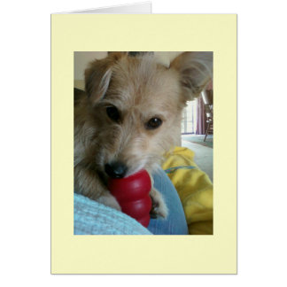 Vänd upp den  Hund Hälsningskort
