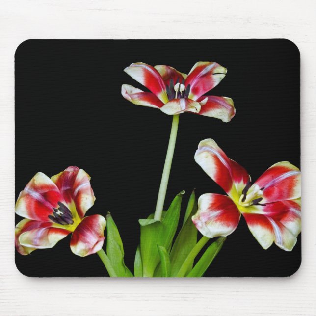 Vänd ut musmatta (Framsidan)