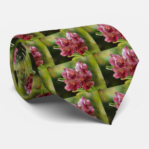 Vanda Bouquet Manar appartie Slips
