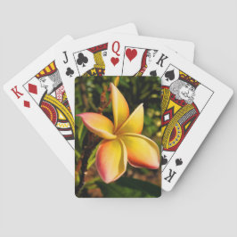 Vända mot solen kortlek