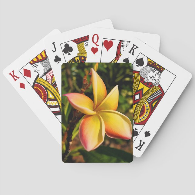 Vända mot solen kortlek (Baksidan)