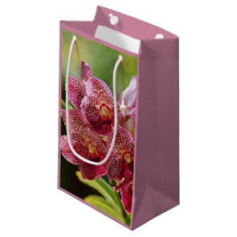 Vanda Orchid Cluster Birthday Gift Bag
