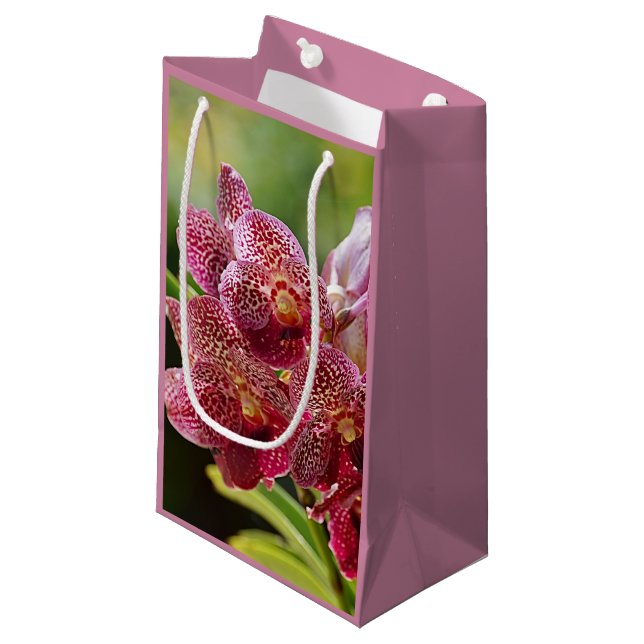 Vanda Orchid Cluster Birthday Gift Bag (Framsidan Vinklad)