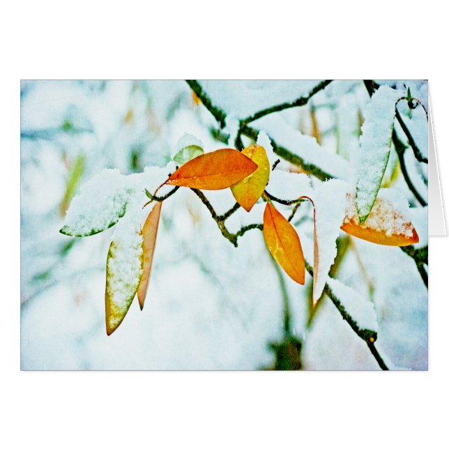 Vända sidan hälsningskort (Framsidan Horizontal)