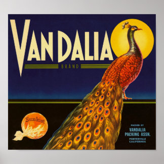 Vandalia Brand Apelsiner Porterville California  Poster