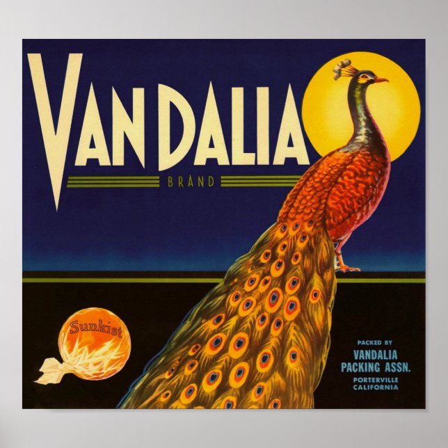 Vandalia Brand Oranges Porterville California Poster (Framsidan)