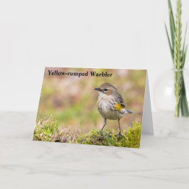 Vandlare av honlig Gult-rumpen Tack Kort