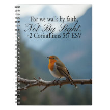 Vandra i tro, inte i syn 2 Korintierbrevet 5:7