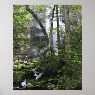 Vandrare beundrar Falls Branch Falls Poster