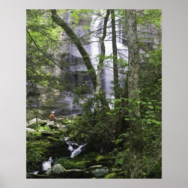 Vandrare beundrar Falls Branch Falls Poster (Framsidan)