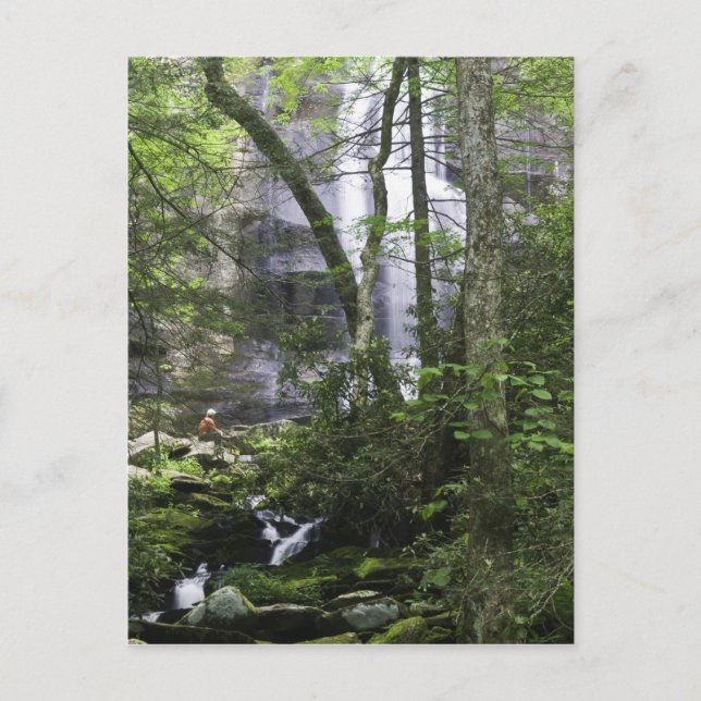 Vandrare beundrar Falls Branch Falls Vykort (Framsida)