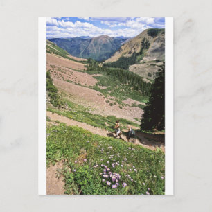 Vandrare i Rockies Aspen CO Vykort