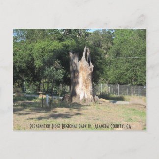 Vandring i Pleasanton, CA 6 Vykort