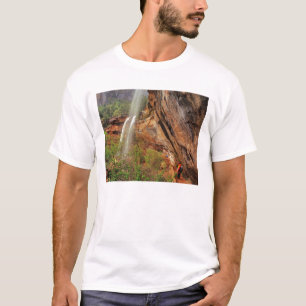 Vandring på Emerald Pools Trail i Zion National Tee Shirt
