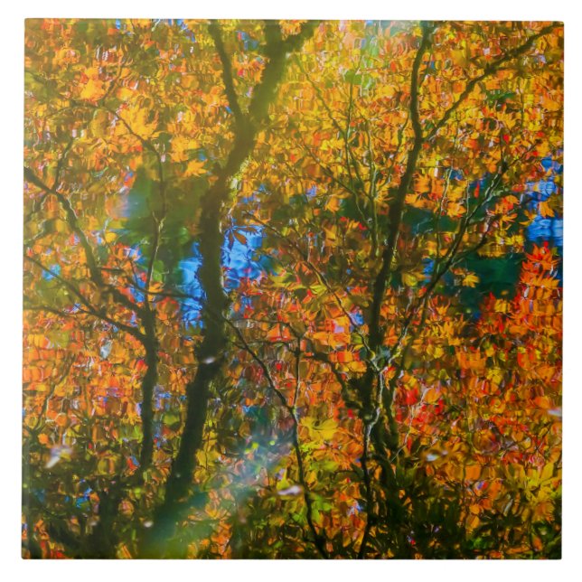 VanDusen Botanical Garden Vancouver, Kanada Kakelplatta (Framsidan)