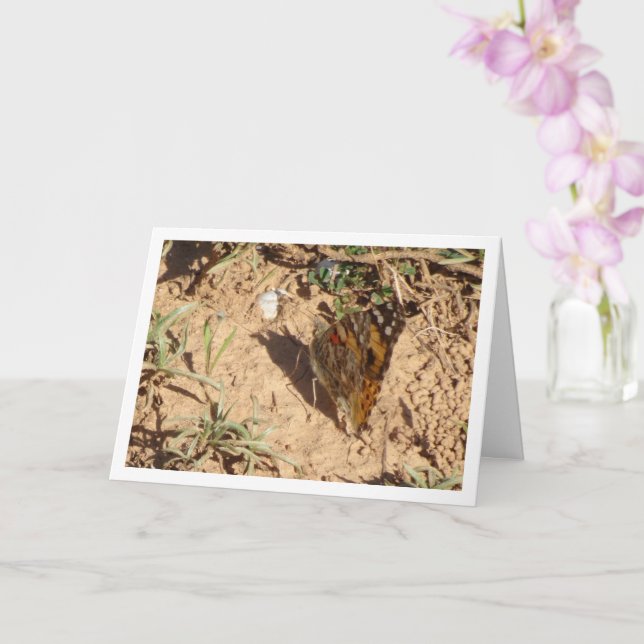 Vanessa cardui - Färgat Dam Butterfly Card Kort (Orkide)