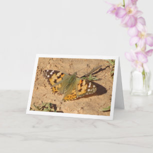 Vanessa cardui - Färgat Dam Butterfly Card Kort