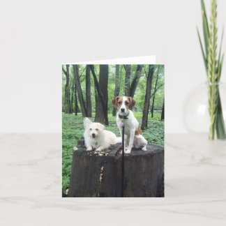 Vänför evigtkort kort