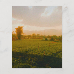 Vang Vieng - Laos Flygblad
