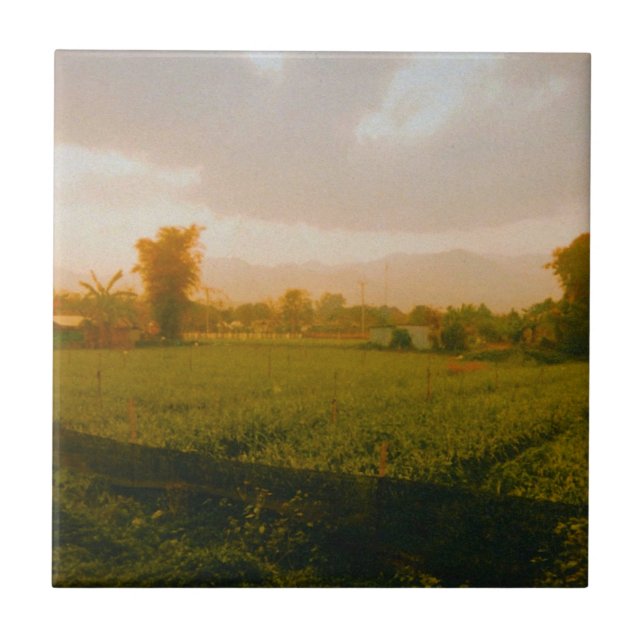Vang Vieng - Laos  Kakelplatta (Framsidan)