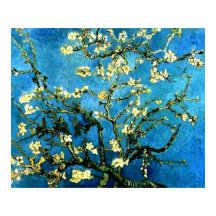 VanGogh Almond Träd Blommars Poster