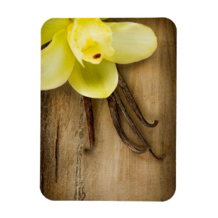 Vaniljpoder och blomma över träbakgrund magnet