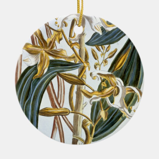 Vaniljpoder, pläterar 65, från 'samlingen julgransprydnad keramik (Framsidan)