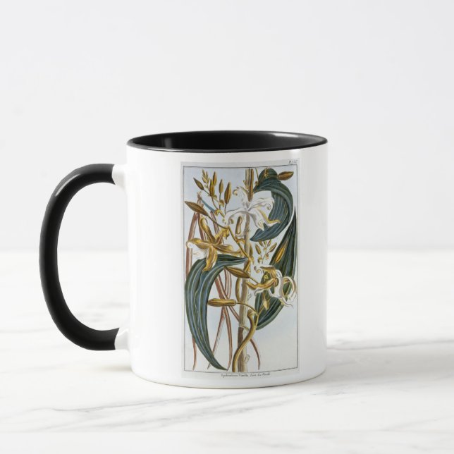 Vaniljpoder, pläterar 65, från 'samlingen mugg (Vänster)
