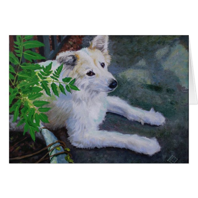 Vanilla Bean Hälsningskort (Framsidan Horizontal)