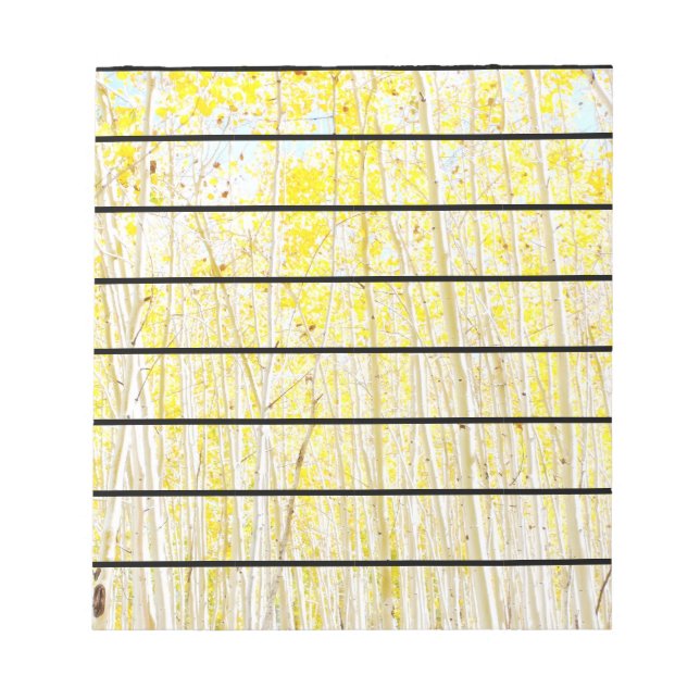 Vanilla Cake Aspen träd Flagstaff, Arizona Anteckningsblock (Framsida)